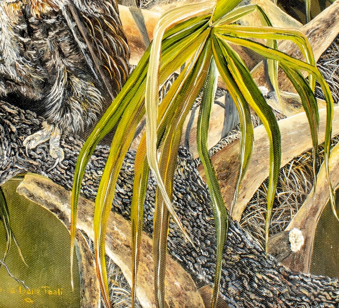 Artwork by Linda K. Della Poali, Owl, Made of oil on canvas