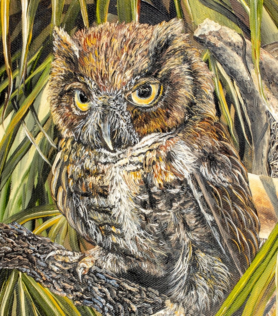 Artwork by Linda K. Della Poali, Owl, Made of oil on canvas