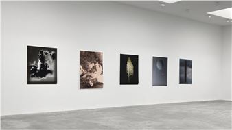 Trisha Donnelly - Matthew Marks Gallery, Los Angeles (Santa Monica)