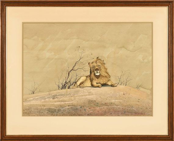 Resting Lion - Bert Lewington