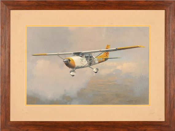 Darryl Legg | Plane in Flight | MutualArt