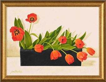 Poppies in a Black Planter - Jan Sinclair