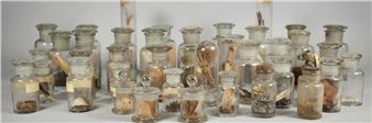 In 90.000 InvenTOURen um die Welt - SKD, Japanisches Palaisnot