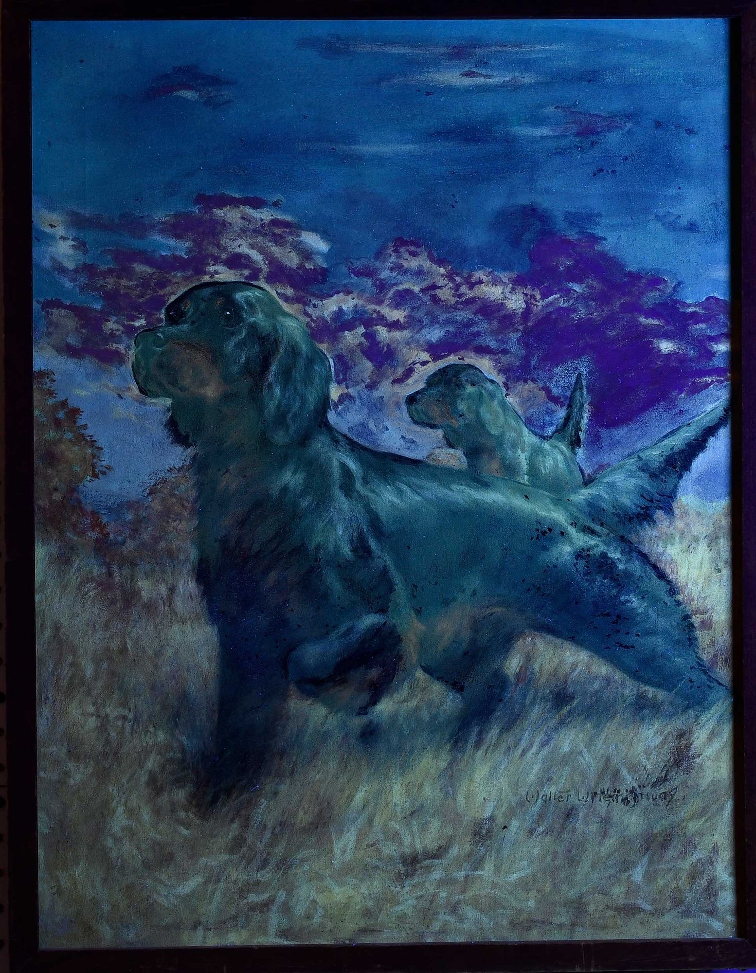 Artwork by Walter Hemenway, Gordon Setters, Made of oil on canvas