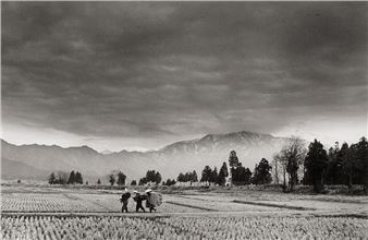 Three companions - Takahashi, K.