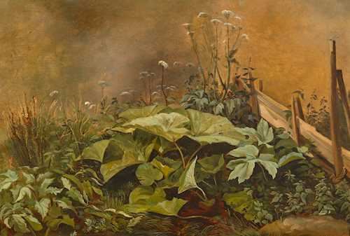 François Diday | Coltsfoot shrub and grasses before a wooden fence ...