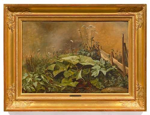 François Diday | Coltsfoot shrub and grasses before a wooden fence ...