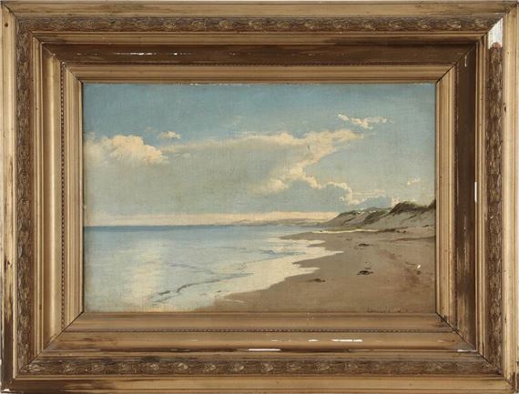 Carl Neumann | Sunlight over the beach at Skagen | MutualArt