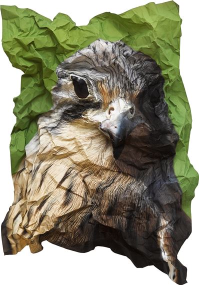 Ritual for Reconciliation: Kestrel (Falco Tinnunculus) England ͽxʽt (Falco Tinnunculus - Marcus Coates