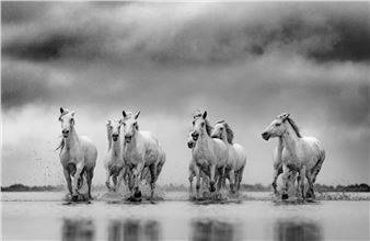 Giusy Rampini & Lars Beusker: Convergence - Miart Gallery