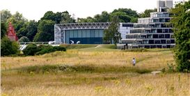 London Art Fair Partners With Sainsbury Centre for 2025 Event