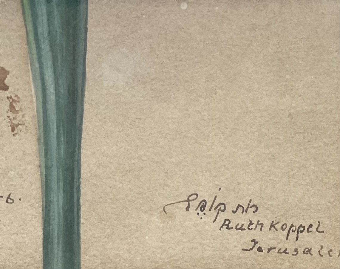 Artwork by Ruth Koppel, Iris, Made of Watercolor