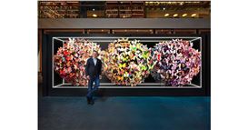 Halcyon Launches a New Interactive Artwork by Dominic Harris at Naturalis Biodiversity Center