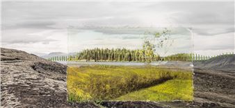 Donna Bassin: Portraits of the Precarious Earth - Newport Art Museum