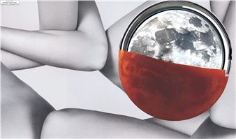 In Pieces: Navigating the Body in Contemporary Irish Art - The Glucksman