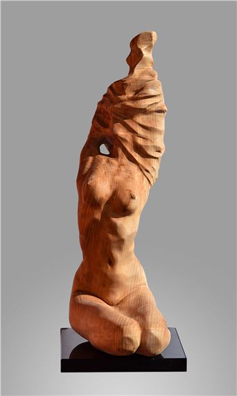 Obnażona - Sławomir Zięba