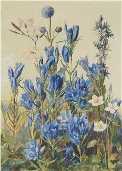 Botanical study - Lucia Lang