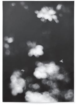 Jochen Lempert: Presentation of a Large Book and Small Photos - BQ