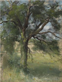 Etude d'arbre - Pierre Pignolat