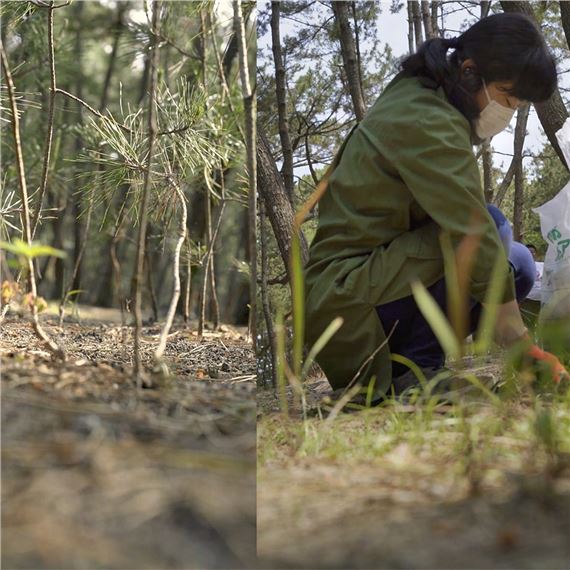 Of Land and Place: A Juried Exhibition - Vermont Center for Photography (VCP)