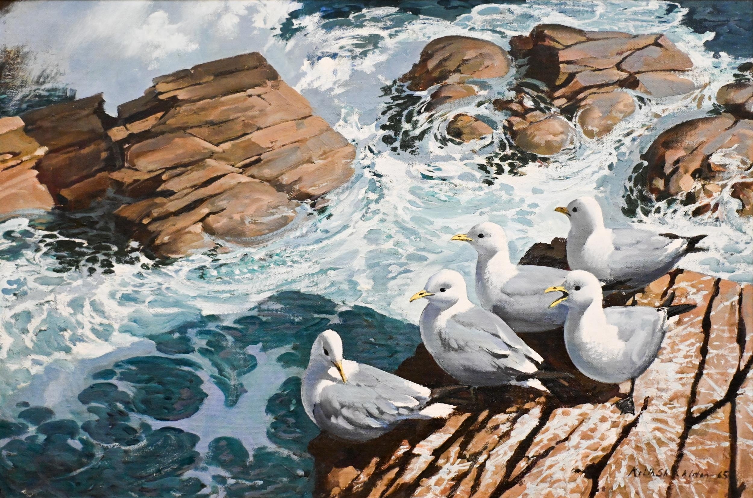 Keith Shackleton | Gulls perched on a rock (65) | MutualArt