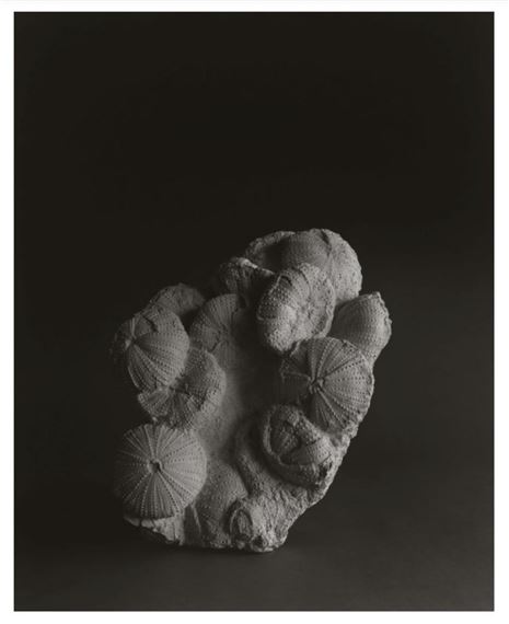 Hiroshi Sugimoto | Sugimoto Seascapes (2014) | MutualArt
