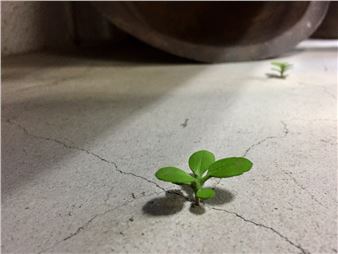 Mates: The Year End 2024 - Gallery Kogure, Tokyo