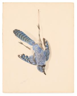 Nature Morte: Blue Jay", 1923 - Ruby Viavant