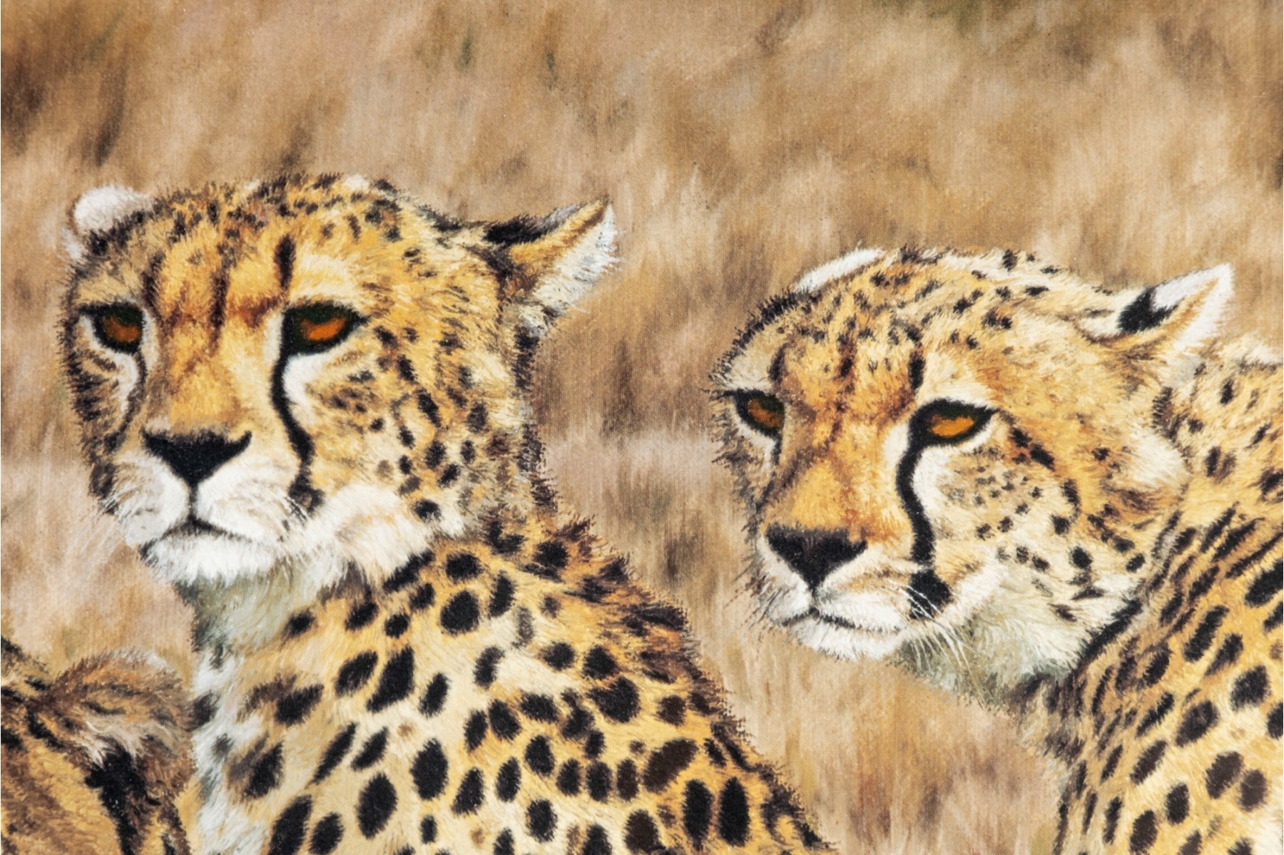 Simon Combes | Study in Concentration | MutualArt