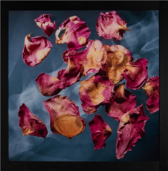 X Ray - Ferdinand De Lesseps