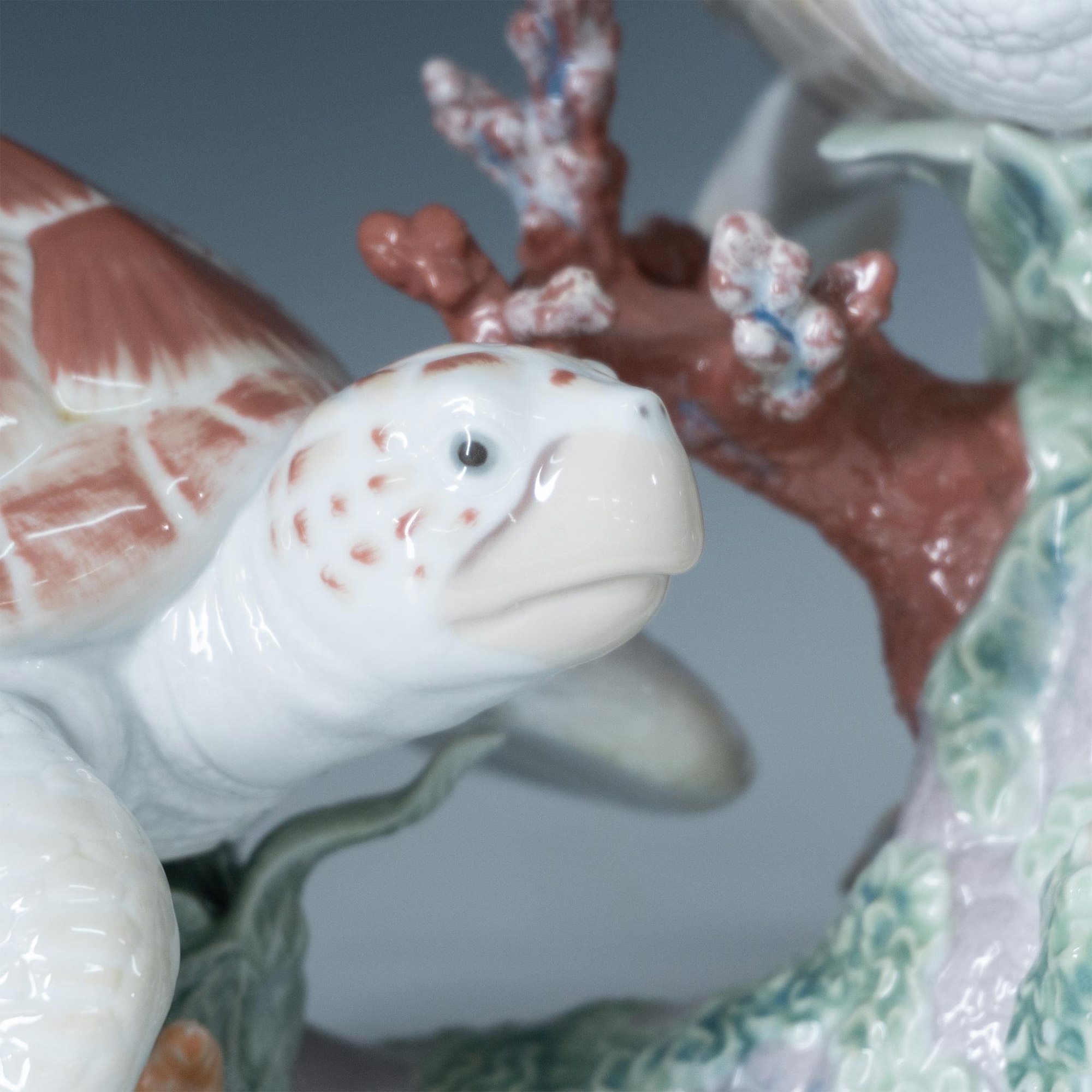Artwork by José Santaeulalia, Set Turtles, Made of Porcelain Figurine