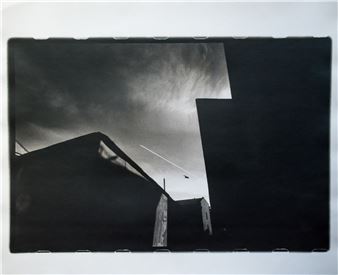 Bird and Airplane - Andrey Usov