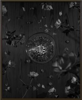 ONLINE: Res & Bryson Rand: The World Within: Photography and Interiority - Zeit Contemporary Art