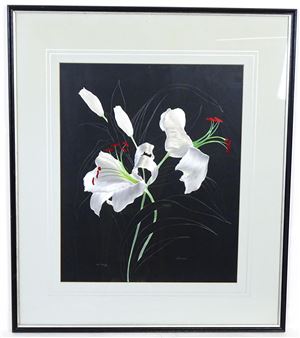 Lilium Lily Liliaceae - Judith Davies