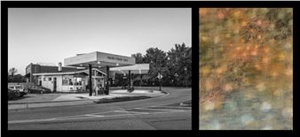 Lee Cott & Tanja North Sport: Troubled Land : Alewife / Fresh Pond - Concord Art