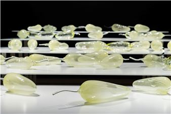 Echoes Unveiled: Art by First Nations Women from Australia - Artizon Museum