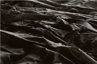 The Museum of Contemporary Art of the Basque Country Presents Its 2024-2025 Programme