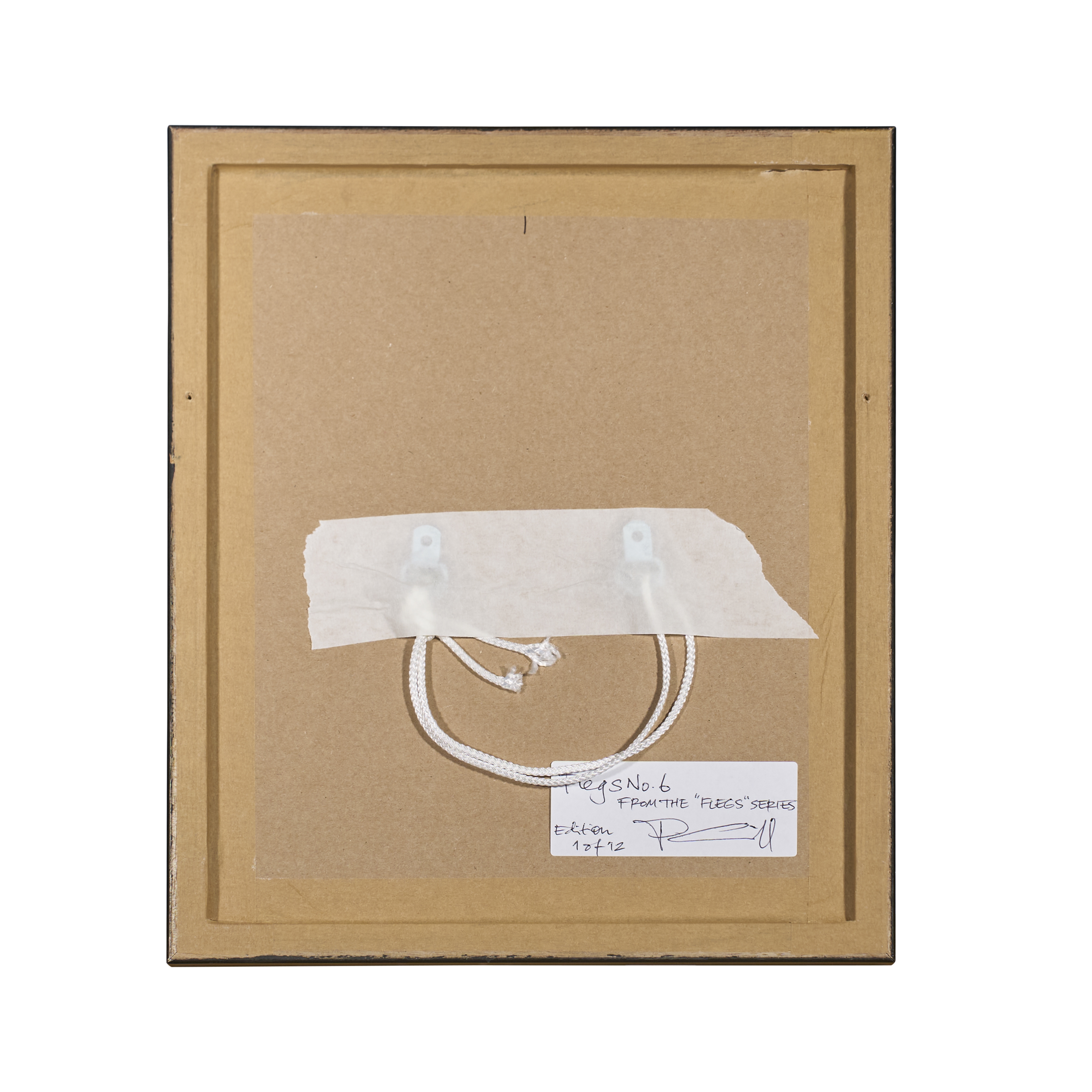 Artwork by Philip Arneill, Flegs No.6, Made of photographic print