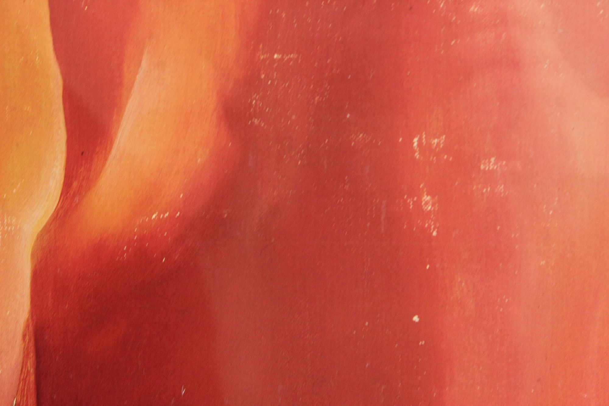 Artwork by Georgia O'Keeffe, Georgia O'Keeffe (1887-1986) Original Color Lithograph, Made of original color lithograph