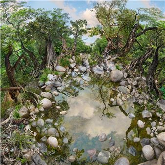 Catherine Nelson: River Bound - Gallerysmith