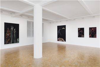 Tamar Mason: Seeing Shadows - Pippy Houldsworth Gallery