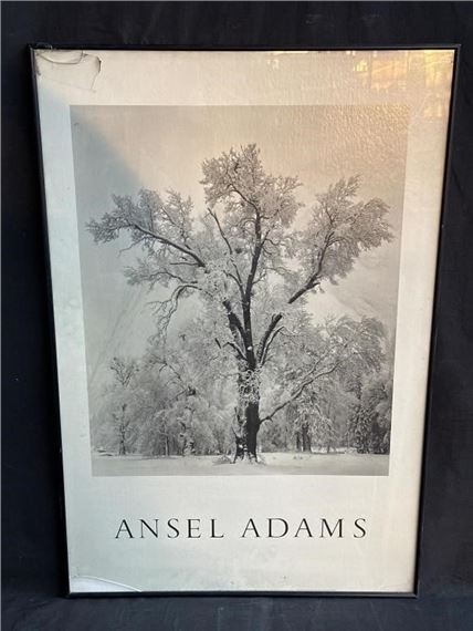 Oak Tree/アンセル アダムス/ポスター Ansel Adams | Framed Ansel