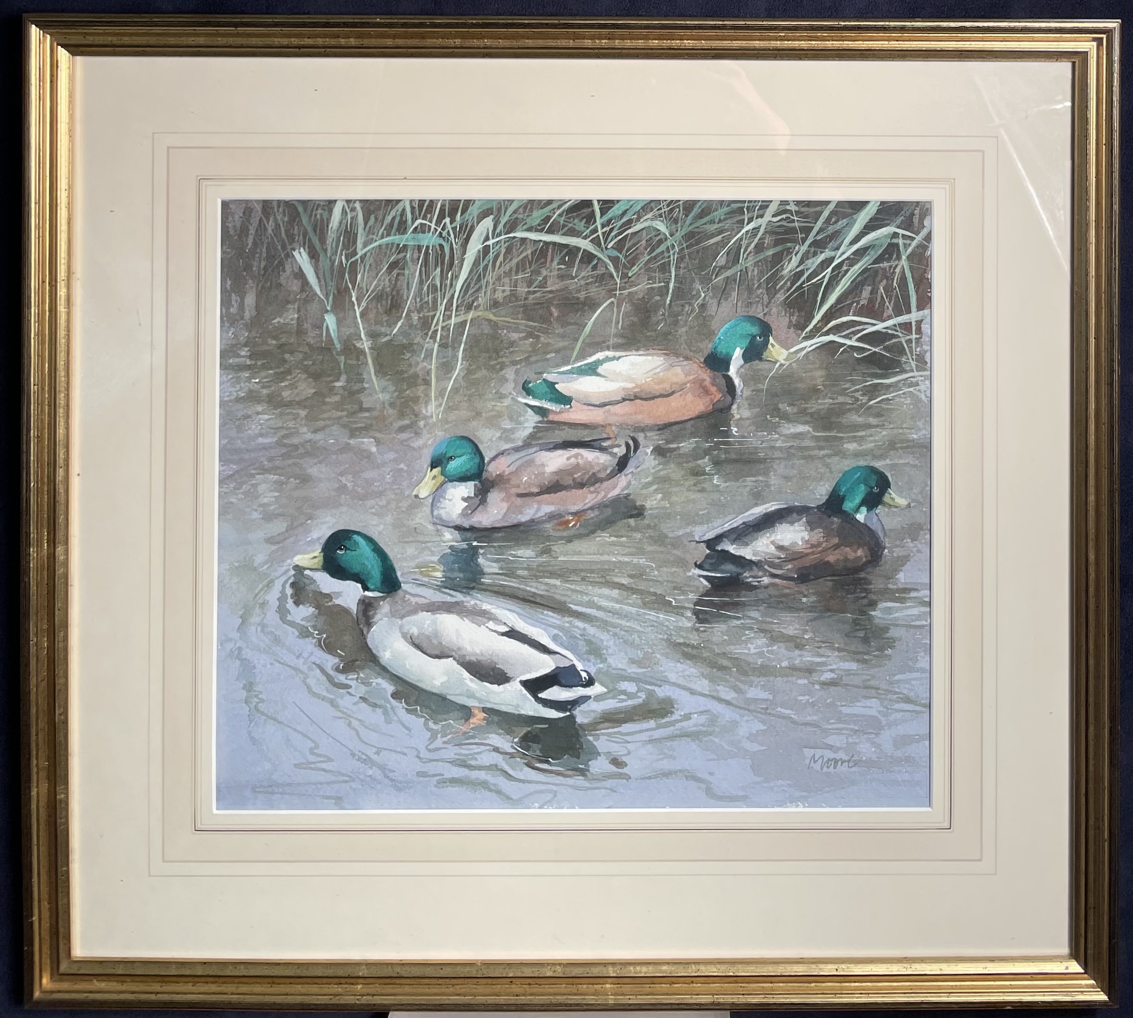 Artwork by Brian Moore, Duck study, Made of watercolour
