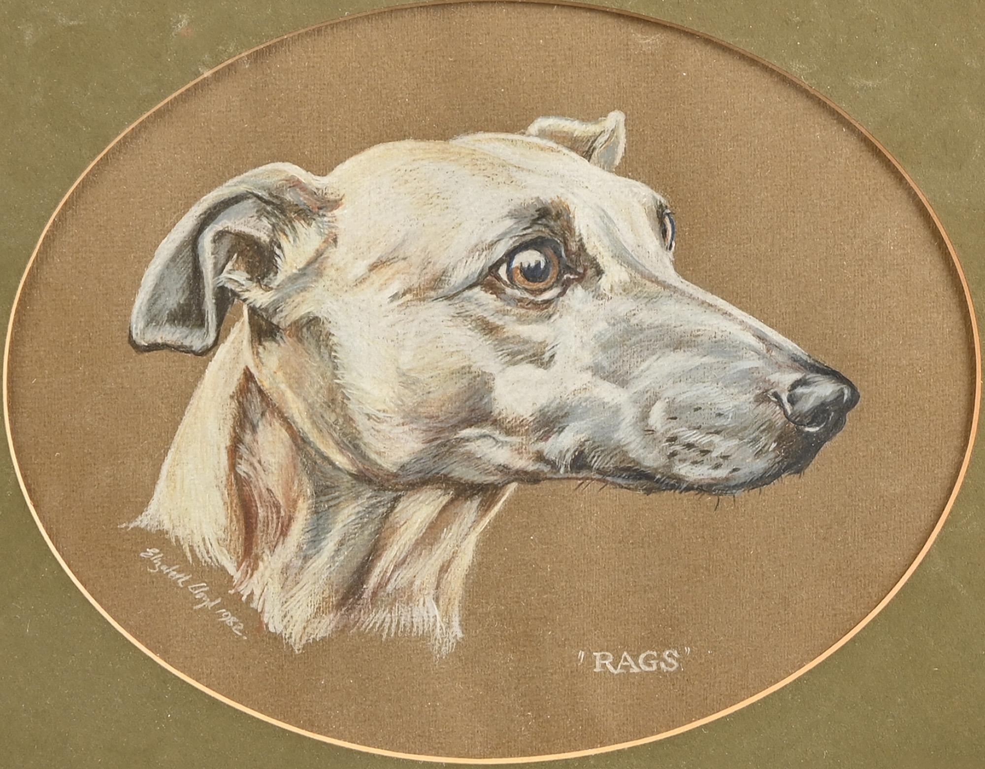 Artwork by Elizabeth Lloyd, Rags; Thunder, Made of pastels on buff paper