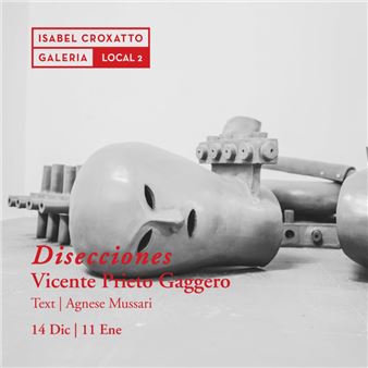 Vicente Prieto Gaggero: Disecciones - Isabel Croxatto Galeria, Local 2