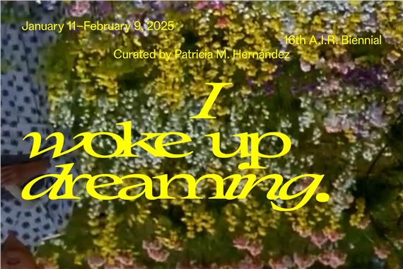 I woke up dreaming. 16th A.I.R. Biennial - A.I.R. Gallery