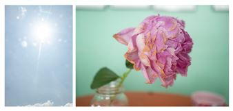 Chelsea Silbereis: Absorption - BCA Mills Gallery