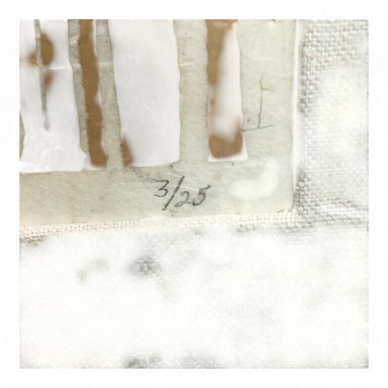 Artwork by Julie Nussenbaum, Julie Nussenbaum Print, Evoration, Made of glass