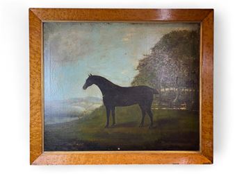 Black stallion in a field - John Miles of Northleach