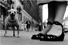 Elliott Erwitt: A Celebration of Iconic Black-and-White Photography in Karlsruhe